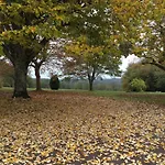 Domaine De Lascaux Bed & Breakfast
