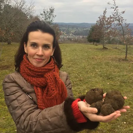 Bed & Breakfast Domaine De Lascaux