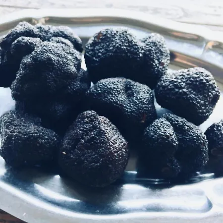 Domaine De Lascaux מונטיניאק