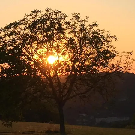 Domaine De Lascaux Bed & Breakfast 3*