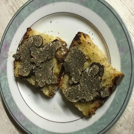 Bed & Breakfast Domaine De Lascaux 3*