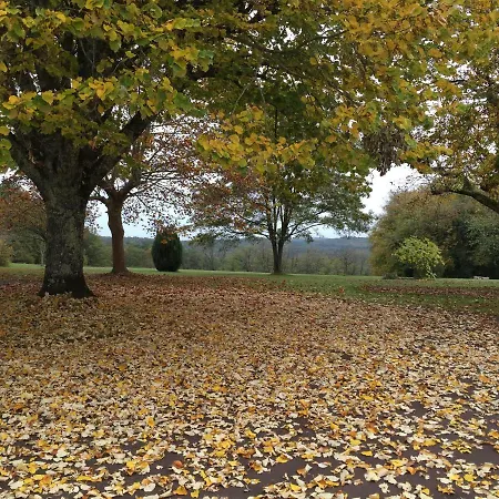 Domaine De Lascaux Bed & Breakfast