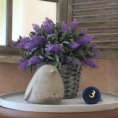 Domaine De Lascaux Bed & Breakfast Montignac-Lascaux