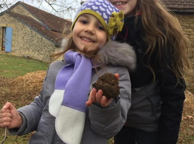 Domaine De Lascaux Montignac-Lascaux